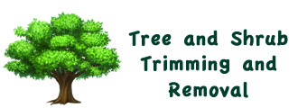 Tree Trimming